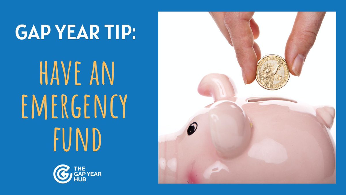 The Gap Year Hub tweet media