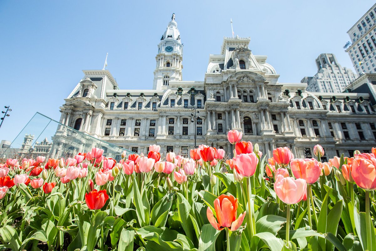 Philadelphia Public Health tweet media