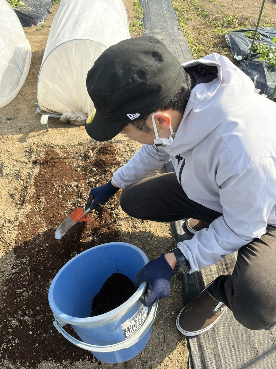 BondPizza's tweet photo. 実は農業を学んでます。
またお店が出来たらなという想いが強くなり、自分達で育てた野菜やフルーツを使って手作りケーキ🍰やお菓子を販売したく！修行中です！
まだまだ時間がかかると思いますが、商品が出来たらまた何処かでみなさまにお会い出来る日を楽しみに頑張ります🧑‍🌾👩‍🌾

#らぼんど
#農業 https://t.co/JflkJZmhqS