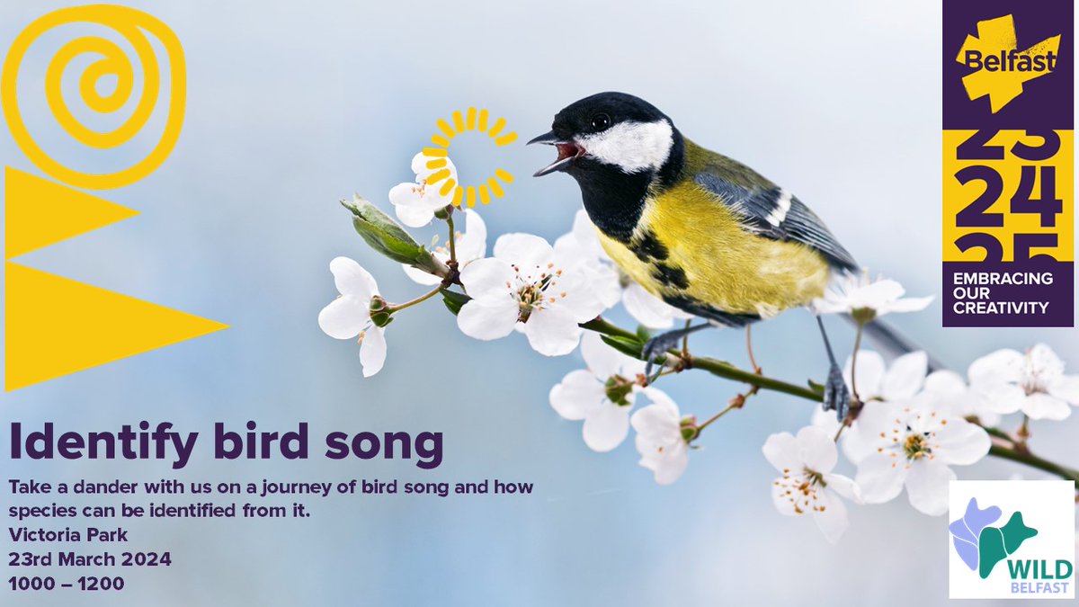 We all need a refresher this time of year as our avian songsters become more vocal.

So as part of #Belfast2024 we're running an event with local expert Stephen Hewitt to get us in tune.

This Sat 23rd March meet at Victoria Park Car Park at 10am.

Book⏬
wildbelfast.org/events-1/ident…