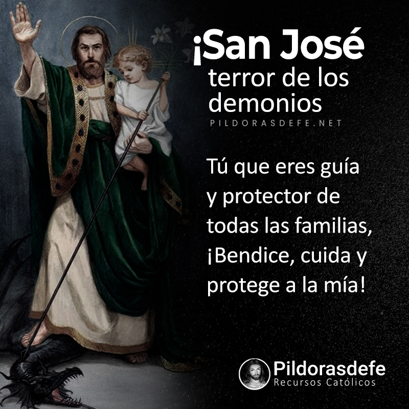 Pildorasdefe tweet media