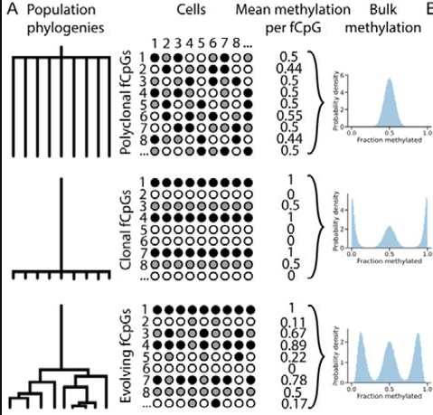 Giulia Boezio tweet media
