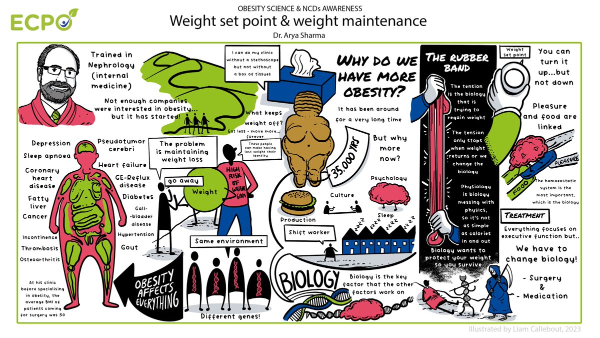 👨🏻‍ On our recent patient council training sessions, we covered various important topics on obesity as a chronic disease, genetics of obesity, the importance of psychological aspects, obesity and NCD's and Stigma. We are happy to share 🎨 graphics that were taken during the sess