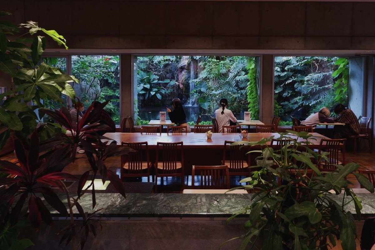 おひや tweet media