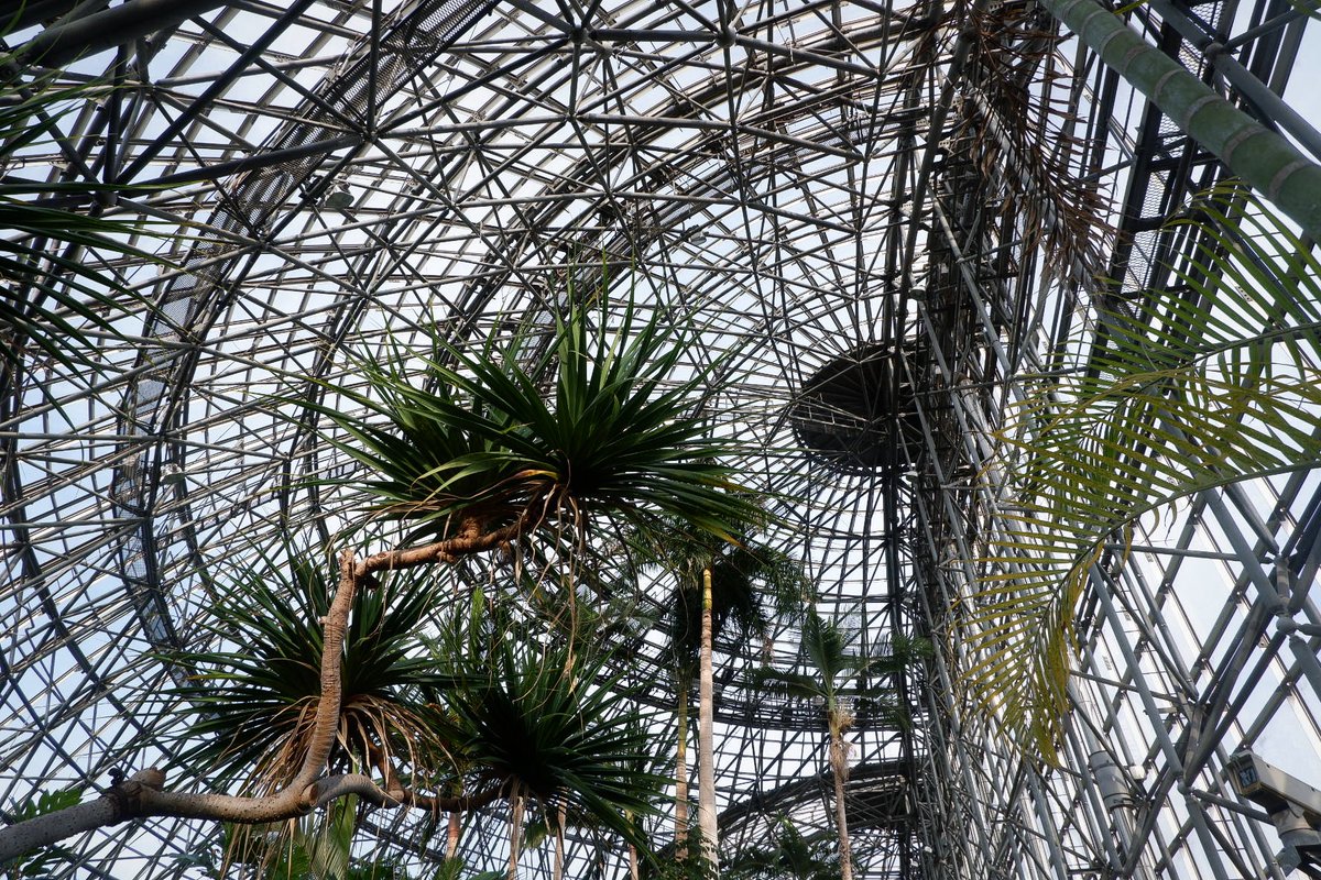 おひや tweet media