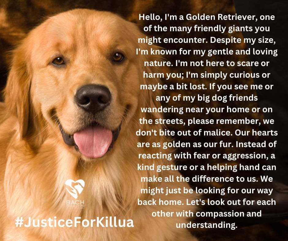 No animals should ever experience cruelty. We'll make sure we fight for the others who had the same fate as you. Run free in dog heaven, Killua! #JusticeforKillua #StopAnimalCruelty (Photo from BACH Project PH FB Page)