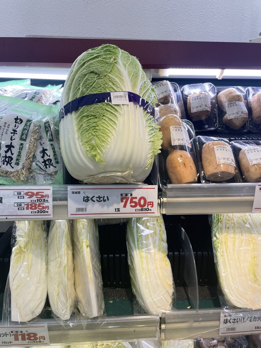 north__ne's tweet photo. デカーW https://t.co/Ddu4IVAn2D