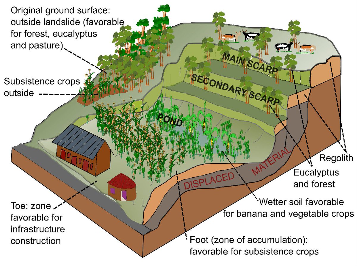 People have little choice but to live with #landslides! In some cases, landslides can even create opportunities. Check out the work published by @ClaudeMakimates in #Kivu, #DRCongo @africamuseumbe @ELI_UCLouvain #CRSN #Lwiro #Georiska #DRR