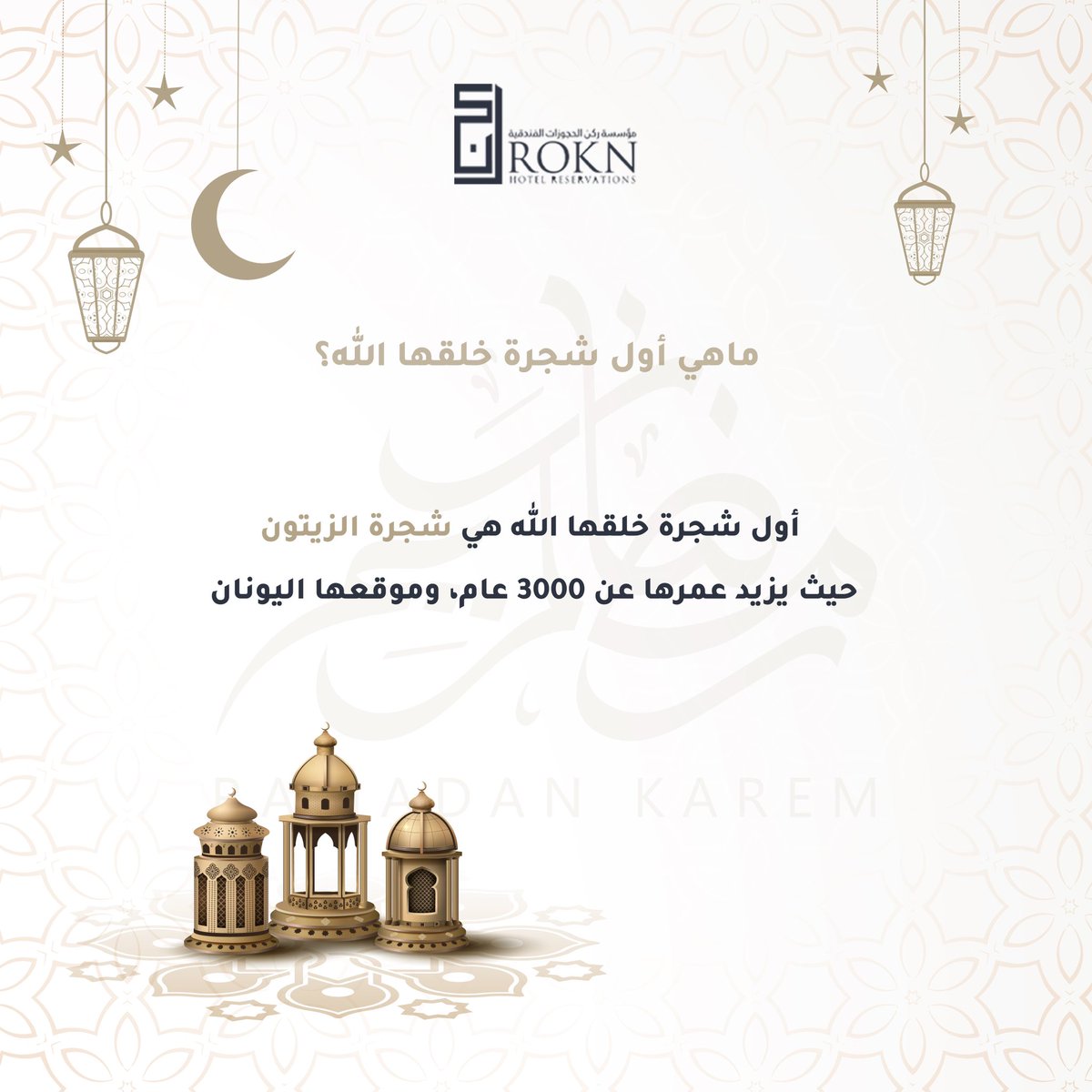 Rokn Hotel Reservations tweet media