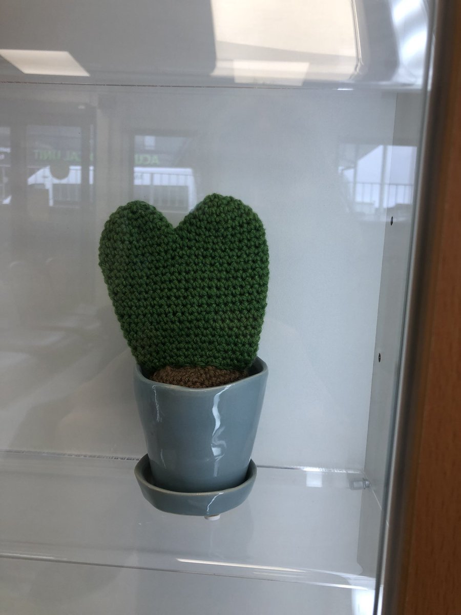 Susie Hall tweet media