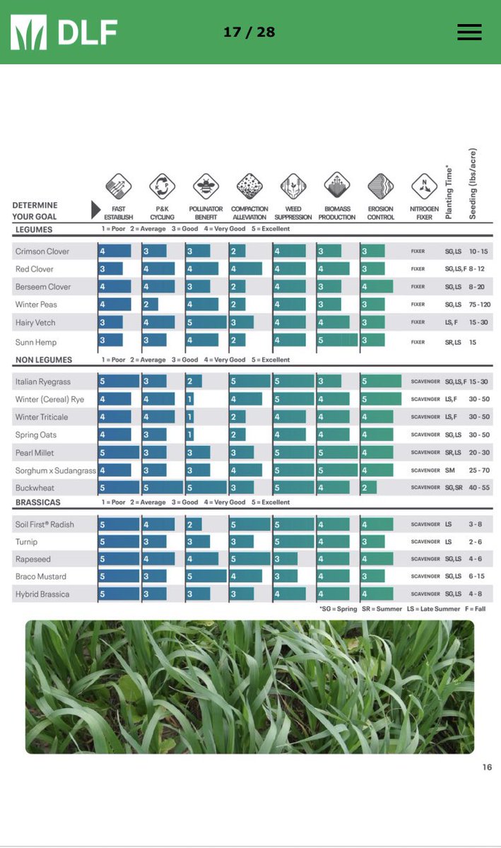 Shane Terry tweet media