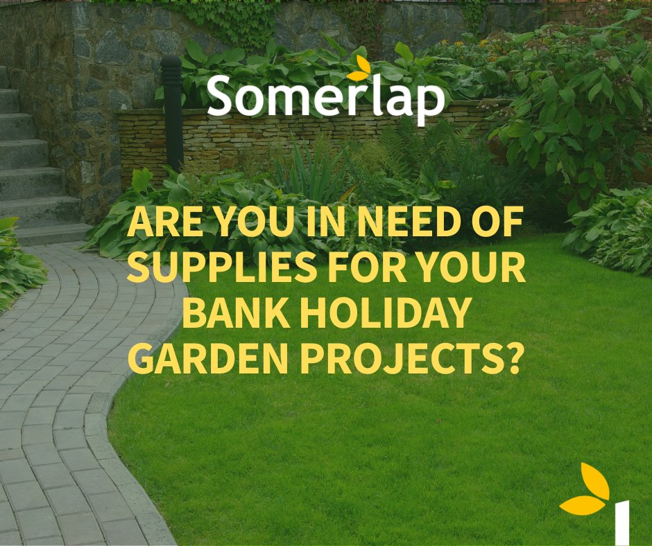 The Somerlap Team tweet media