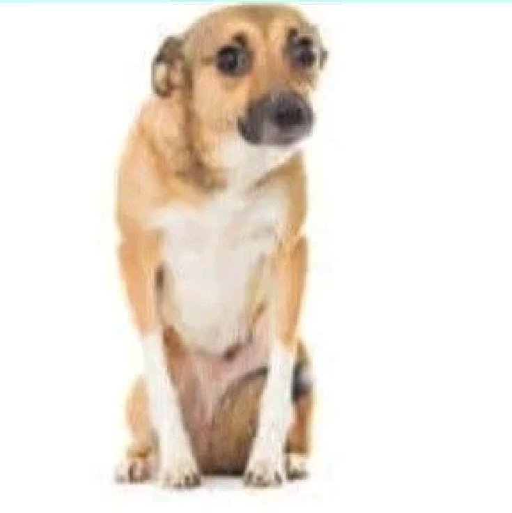 studywsasa_'s tweet image. acordei hoje achando que ia arrasar em matemática mas quem tá sendo arrasada sou eu