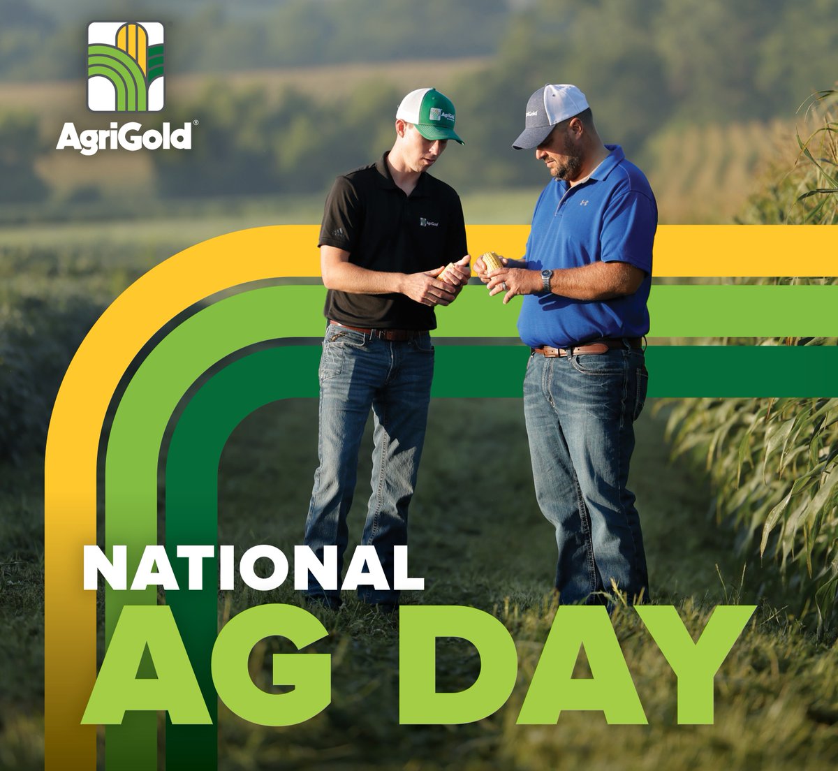 Agriculture is more than a job; it's a lifestyle that demands everything you have to give and more. Your efforts are the backbone of our industry and our way of life.

On #NationalAgDay, we tip our AgriGold hats to you. 🚜💚

 #ChooseAgriGold