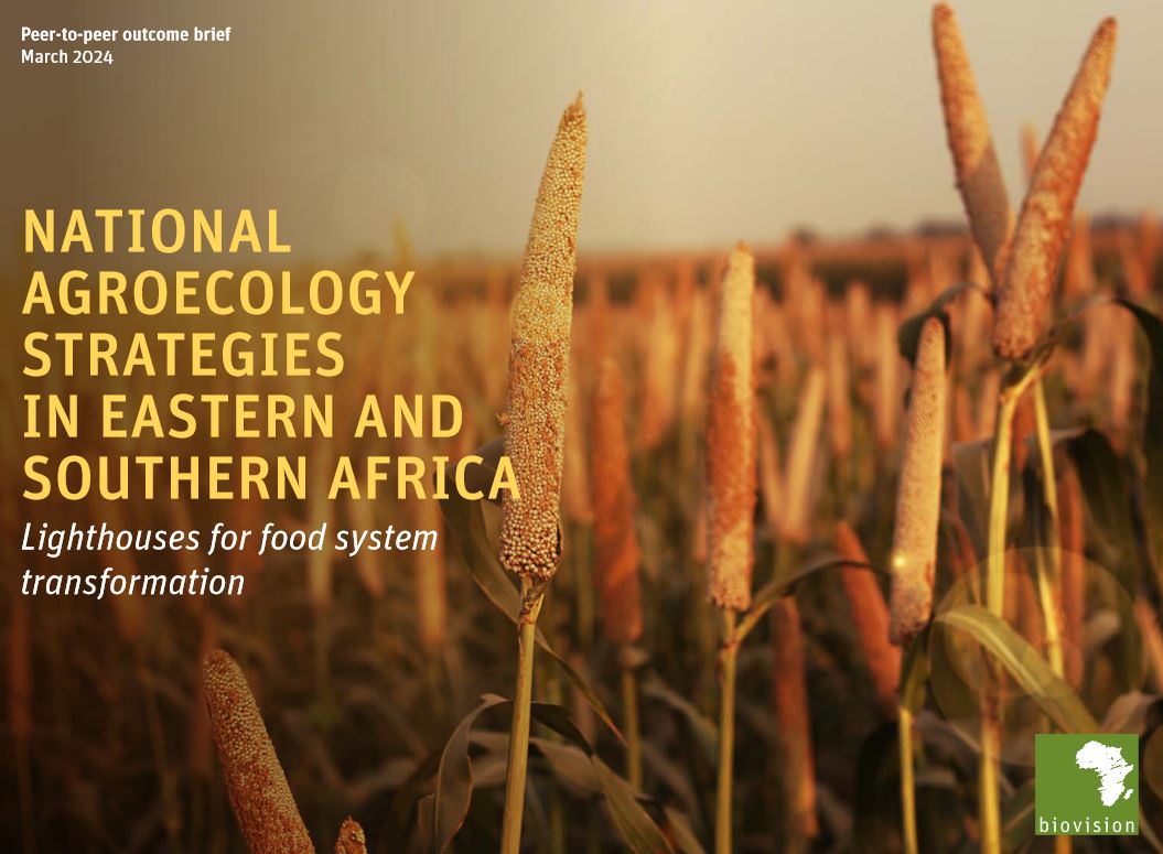 Agroecology Coalition (@agroecologygoal) on Twitter photo 🌍National #agroecology strategies in Eastern and Southern Africa: Lighthouses for food system
transformation.
👉A new brief by <a href="/FutureForAll/">Μέλλον για Όλους - Future for All</a> has just been launched:
agroecology-pool.org/wp-content/upl… 🌍National #agroecology strategies in Eastern and Southern Africa: Lighthouses for food system
transformation.
👉A new brief by <a href="/FutureForAll/">Μέλλον για Όλους - Future for All</a> has just been launched:
agroecology-pool.org/wp-content/upl…
