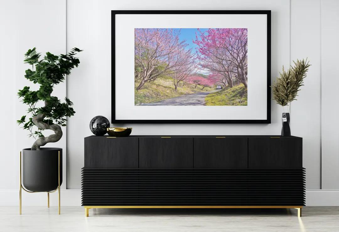 I am running a campaign where anyone who purchases my work will receive a photo work as a gift.
The deadline is March 25th.
I would like to present a selection of works selected from among the many works I have taken so far.
This work is one of them.
#sakura #japanart