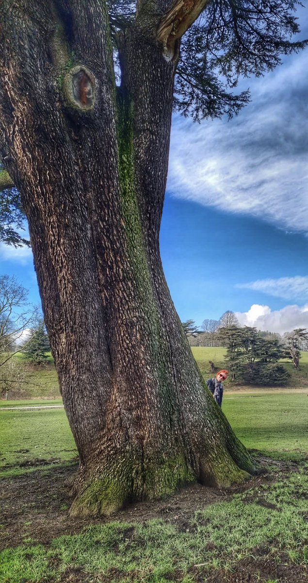 Happy #thicktrunktuesday tree people 💚💚💚 Just me and a tree as usual !! #trees #nature #getoutdoors #wellbeing #derbyshire @keeper_of_books @treesnick @infotainmentod @greenmomentsuk