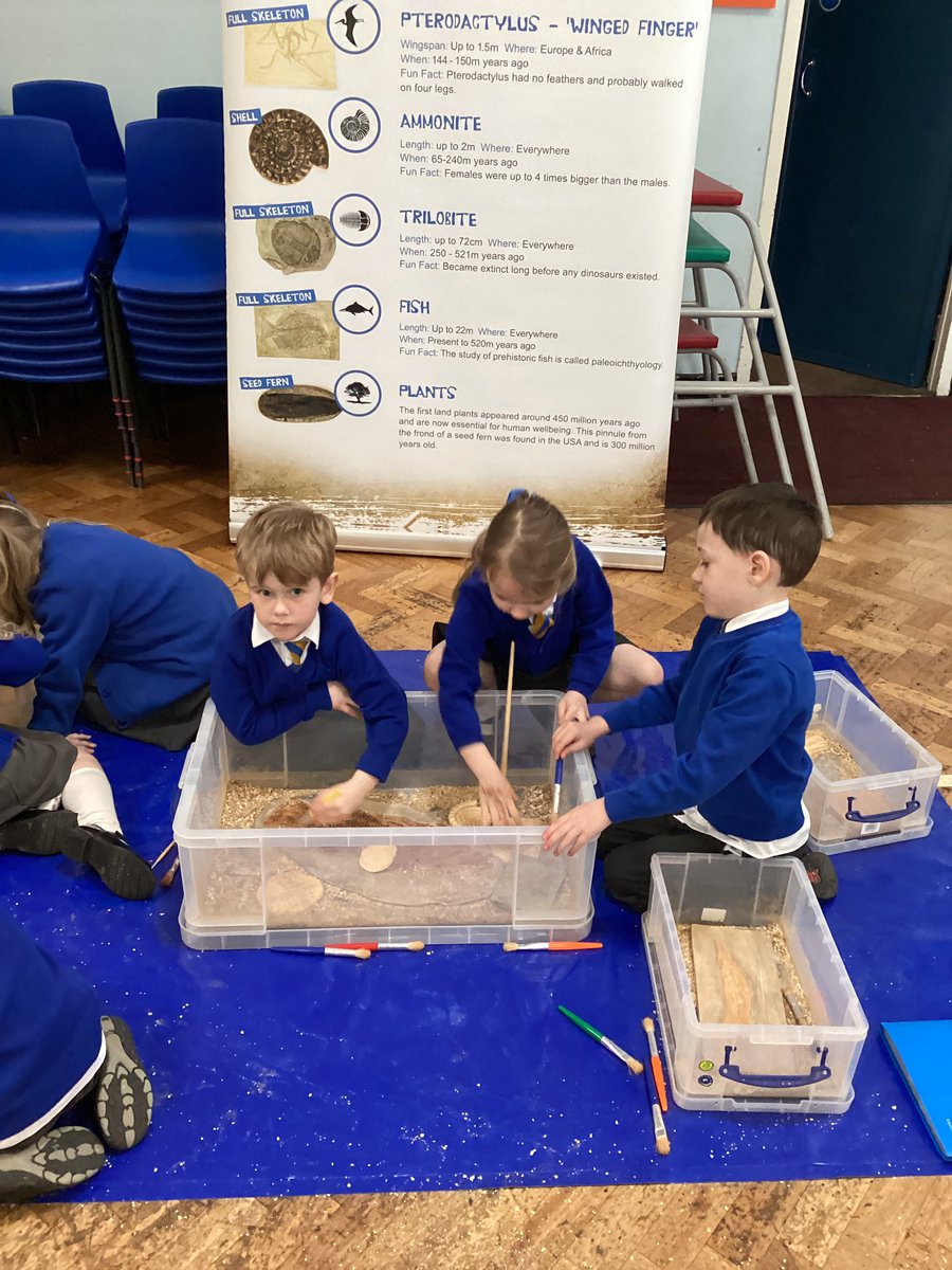 ReceptionSTP's tweet photo. We loved being fossil hunters on Monday morning. Thank you @educationgroup
#scienceatstp #eyfsatstp https://t.co/1m082LAZRo