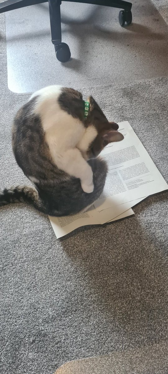 Dr Iona 🏴 (she/her) tweet media