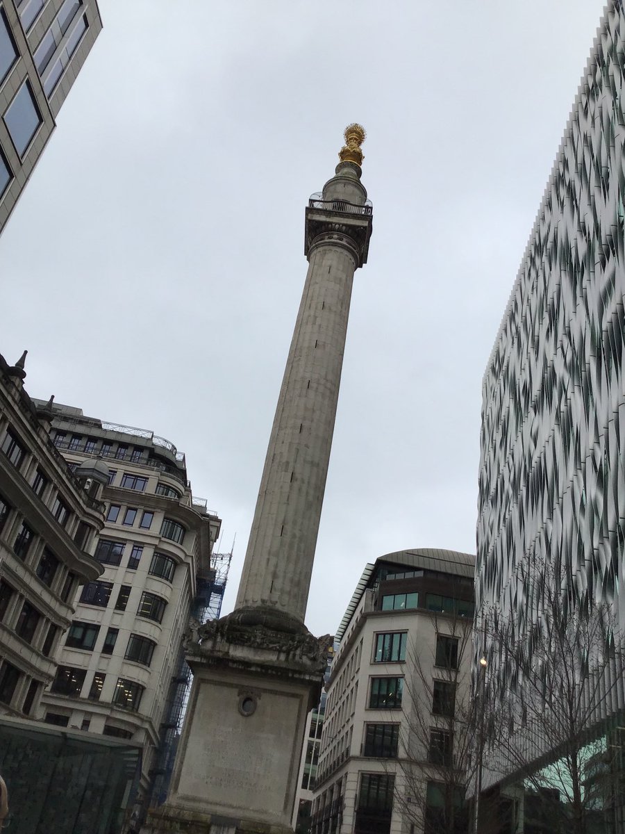 Halley Year 1 tweet media