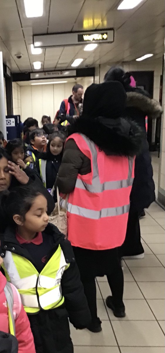 Halley Year 1 tweet media