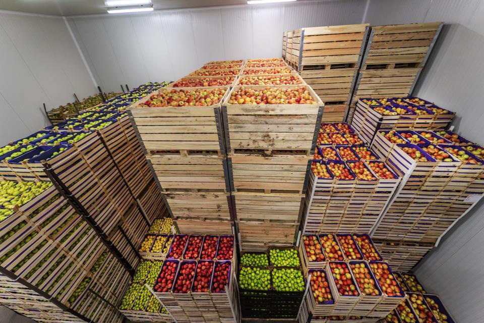 Sustainable Food Chains: What Happens on the Farm Doesn’t Stay There @forbes @sap @IntFreshProduce forbes.com/sites/sap/2024…