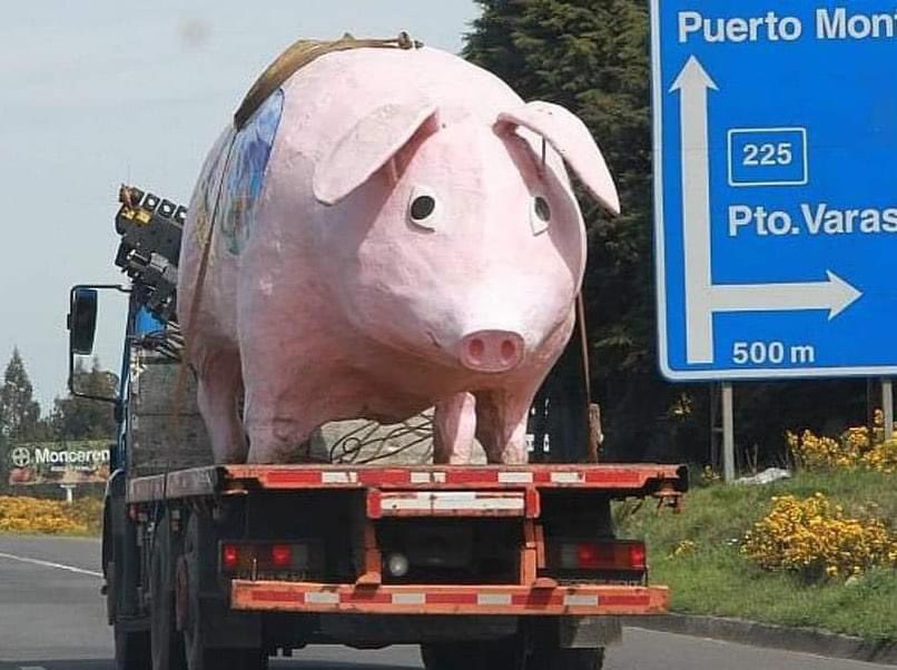 #BreakingNews el Chancho Lorenzo vuelve al Estadio Chinquihue. Tras años de retiro regresa a Puerto Montt para vestir la albiverde. 👏🏻👏🏻👏🏻