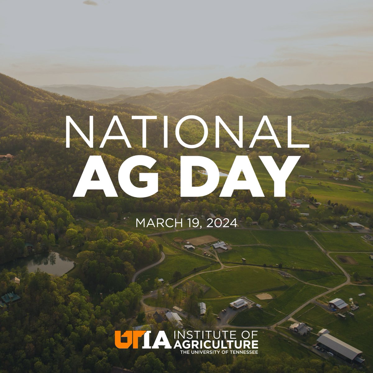 Happy National Ag Day! UTIA's faculty, staff and students are committed to discovering and delivering #RealLifeSolutions to help agricultural producers throughout Tennessee and beyond grow in productivity, efficiency and sustainability. #AgDay24