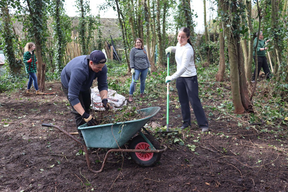 IrishHeritageSc's tweet photo. Here's to our awesome service learning crew!☀️ Rain or shine, we're making magic happen here in County #Offaly! From sunny skies to cozy #tea breaks, our days have been nothing short of fun. Let's keep the good #vibes flowing and make every moment count! 🌦️☕️
#CSUSHonors https://t.co/AWtj9Qkcwm