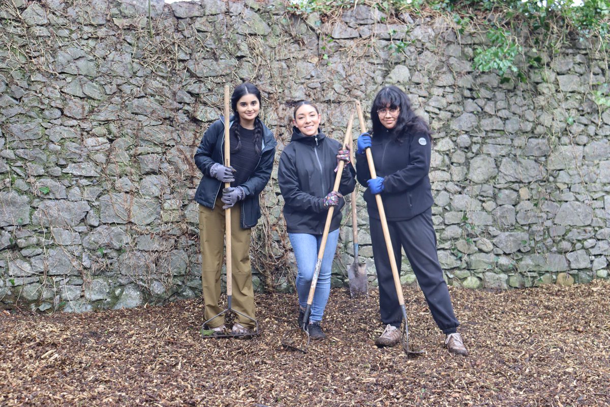 IrishHeritageSc's tweet photo. Here's to our awesome service learning crew!☀️ Rain or shine, we're making magic happen here in County #Offaly! From sunny skies to cozy #tea breaks, our days have been nothing short of fun. Let's keep the good #vibes flowing and make every moment count! 🌦️☕️
#CSUSHonors https://t.co/AWtj9Qkcwm