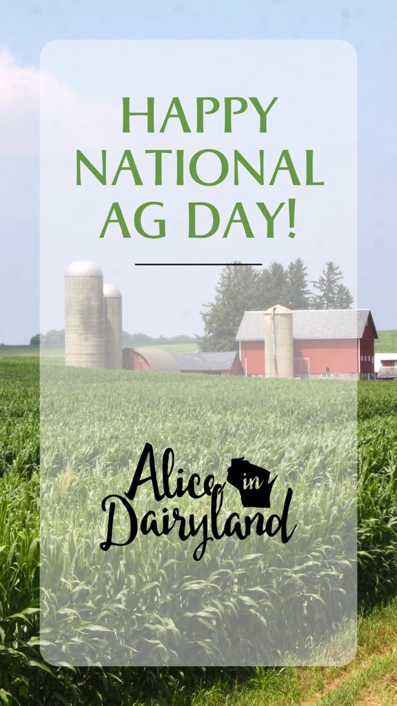 Alice in Dairyland tweet media
