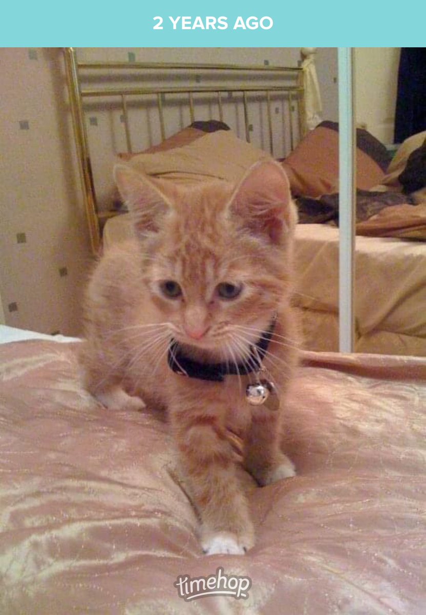 Yesterday was my gotcha day   Here is me as a bambino 14 years ago