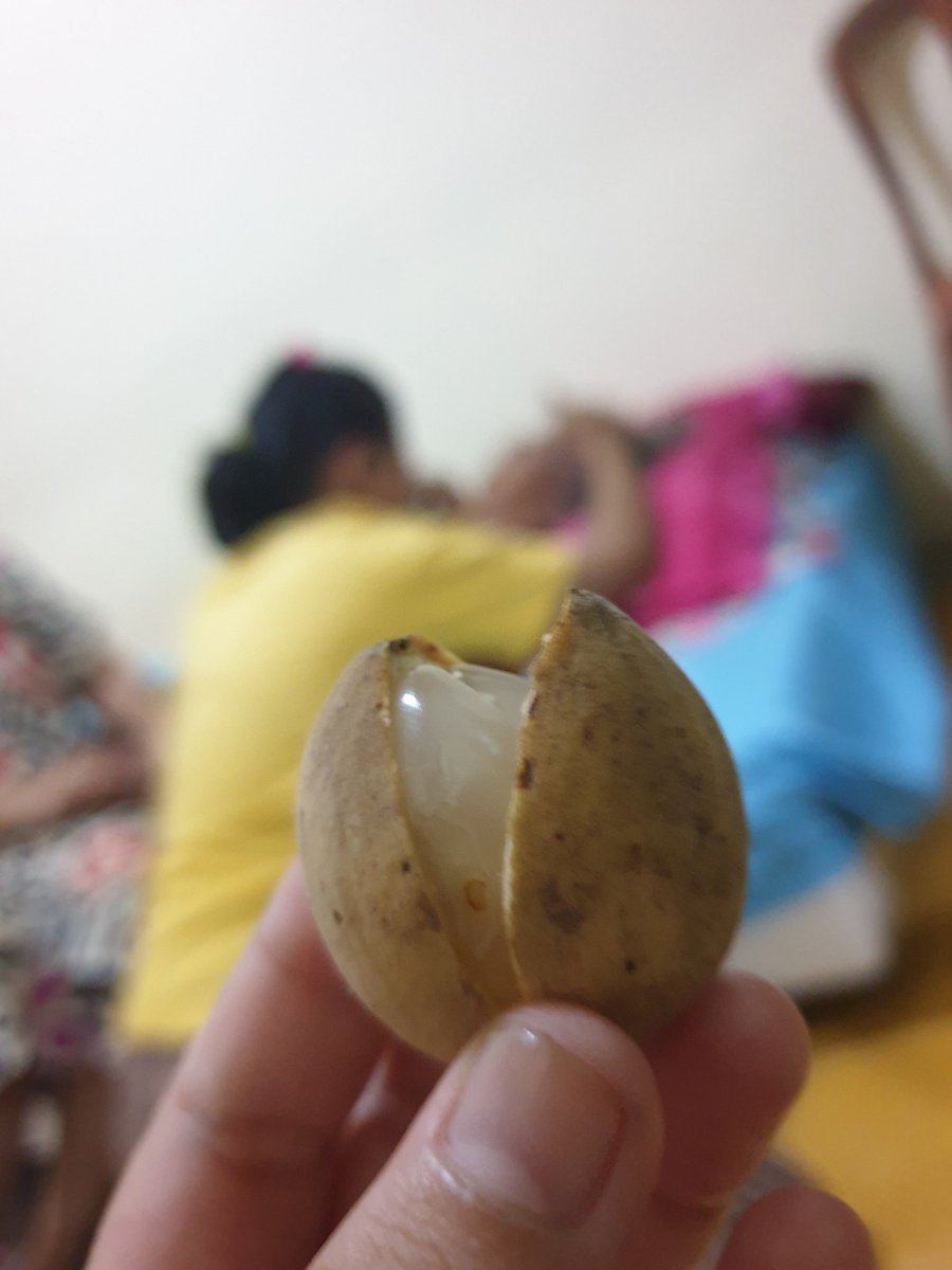 Makan duku sambil nahan nangis. Rasanya mantap sekali