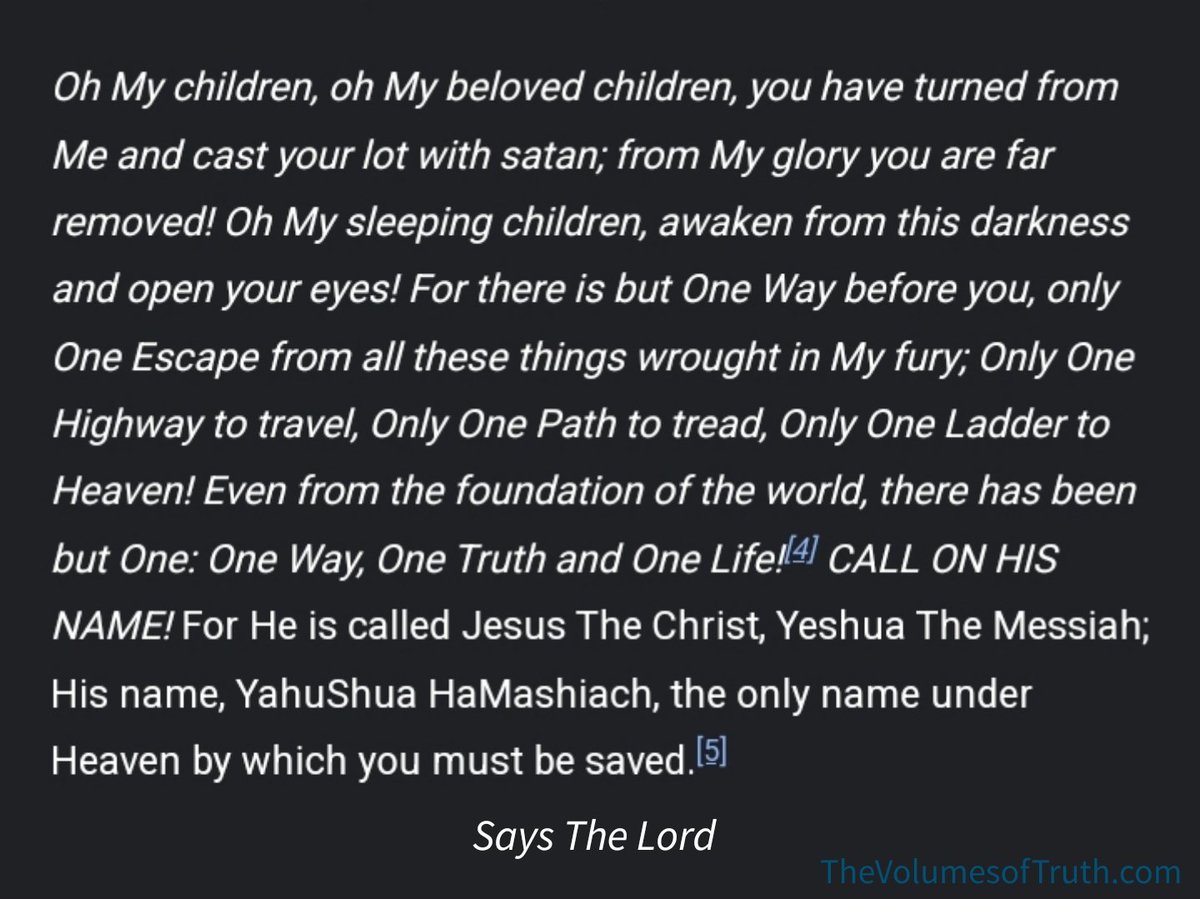 TheTimeHasCome7's tweet photo. 📖 Excerpt from "Thus Says The Lord against the United States: You Have Hastened the Day!": https://t.co/ARVrcvrj4l
#awaken #darkness #OneWay #escape #highway #ladder #heaven #ONE #OneWayOneTruthOneLife #CALLONHISNAME #Jesus #TheChrist #Yeshua #TheMessiah #YahuShua #HaMashiach https://t.co/EW2HaorJZB