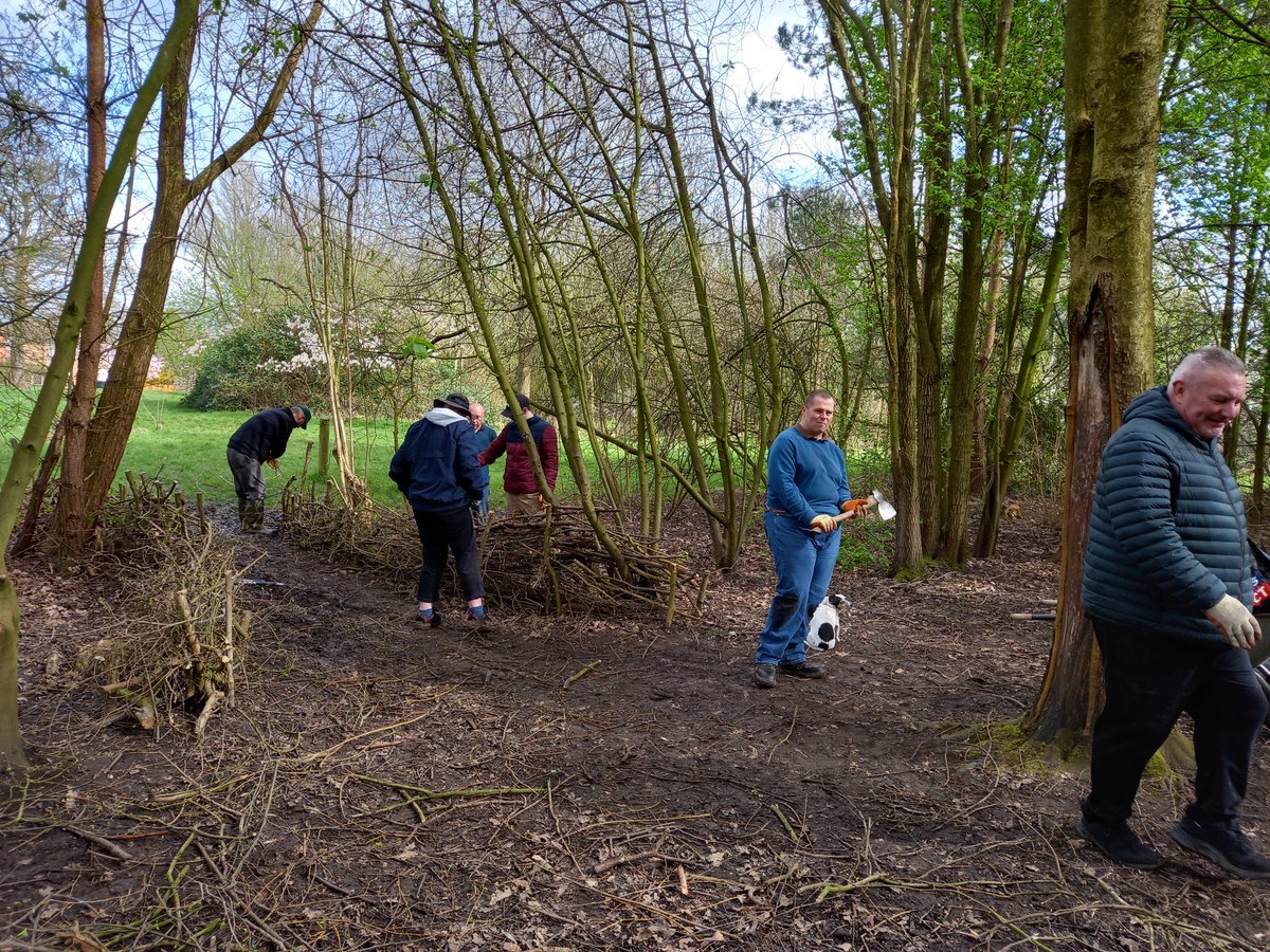 Another great session in the lovely springvweather at Whitby @TCVGreenGym another section of dead hedge done with @TCVtweets @merseyforest @Go_CheshireWest #joininfeelgood