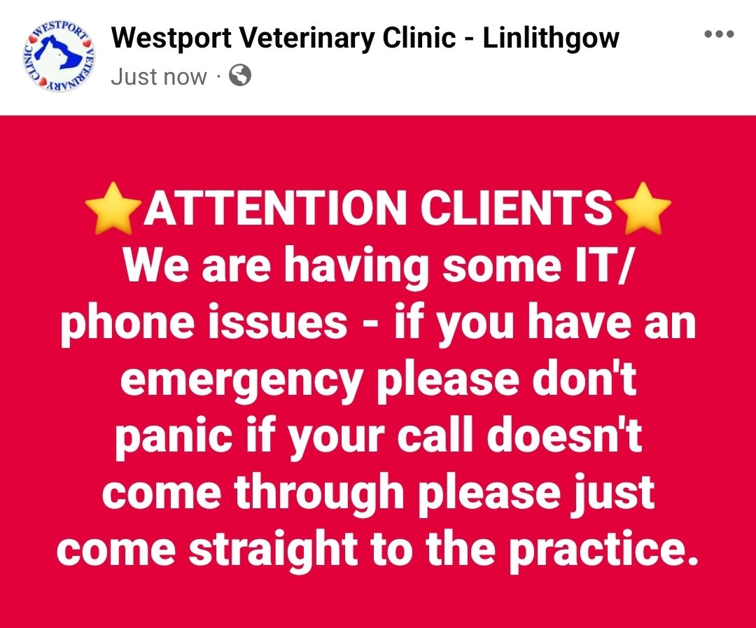 Westport Veterinary Clinic (@WestportVets) on Twitter photo 2024-03-19 12:54:57