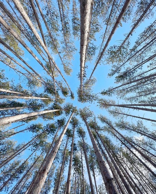 The #FirstOfSpring has sprung! 🌞🍃🌸 What are you looking forward to most this season?

📸: iammar on IG