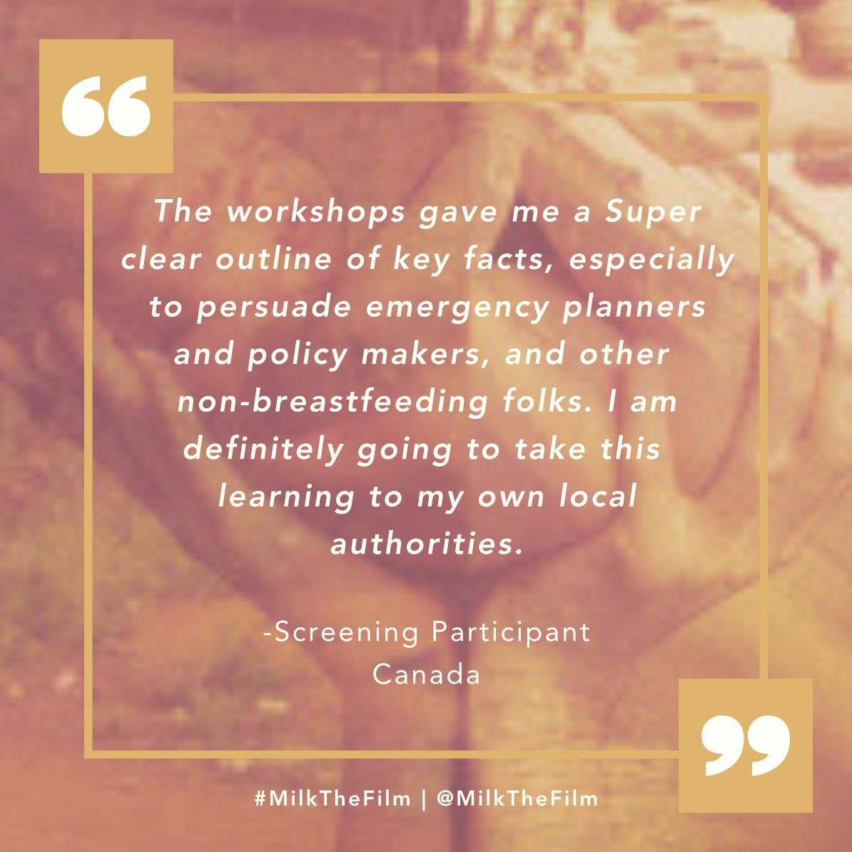MILK The Film tweet media
