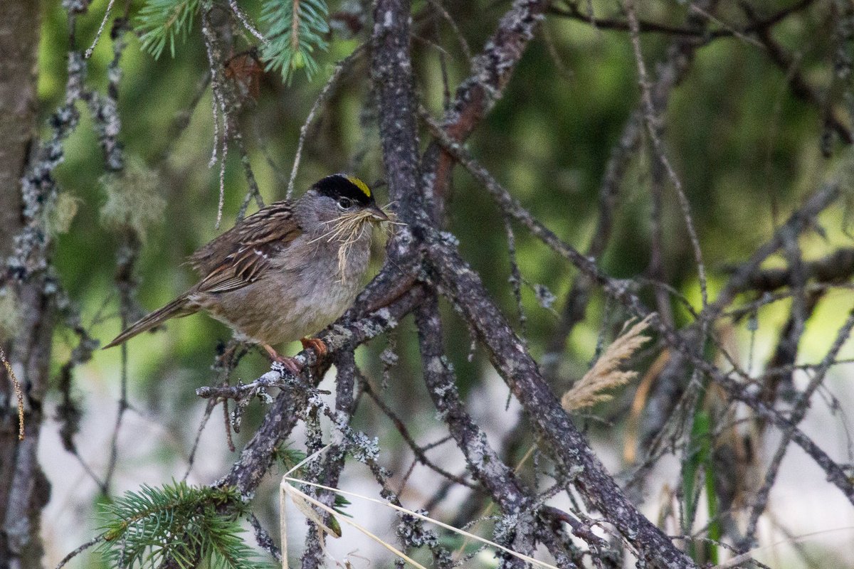 “Spring is the time of plans and projects.” ― Leo Tolstoy, Anna Karenina Happy Spring Equinox! Spring still feels a whole lot like winter in Katmai, but spring is right around the corner. Photo Courtesy Anela Ramos