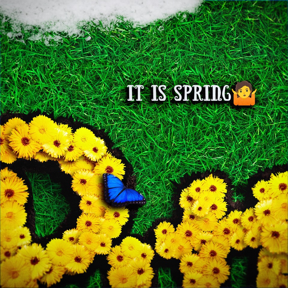 Happy #FirstDayOfSpring, Panthers! 🤷‍♀️🤷‍♂️🌼❄️