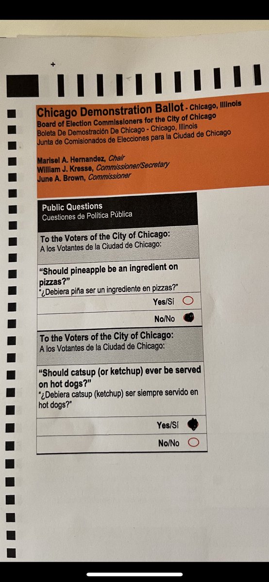 My daughter went with my wife to the polls and they gave her a special Chicago themed ballot for kids