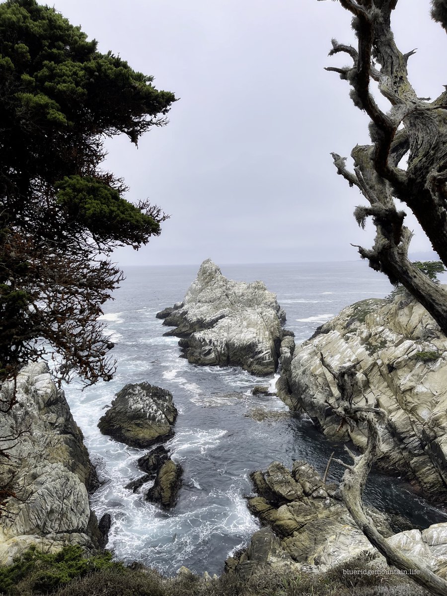 Happy #RockinTuesday, Bree.  From one of the finest State Parks anywhere, Point Lobos, near Monterey, CA. #pointlobos