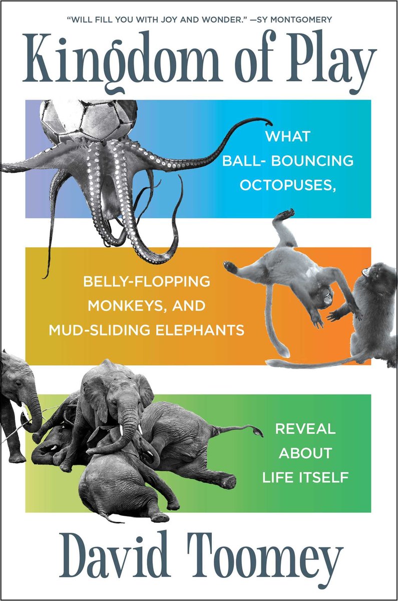 Animal Play Is Fun, Fair, Chaotic, and Serious Business

psychologytoday.com/us/blog/animal…