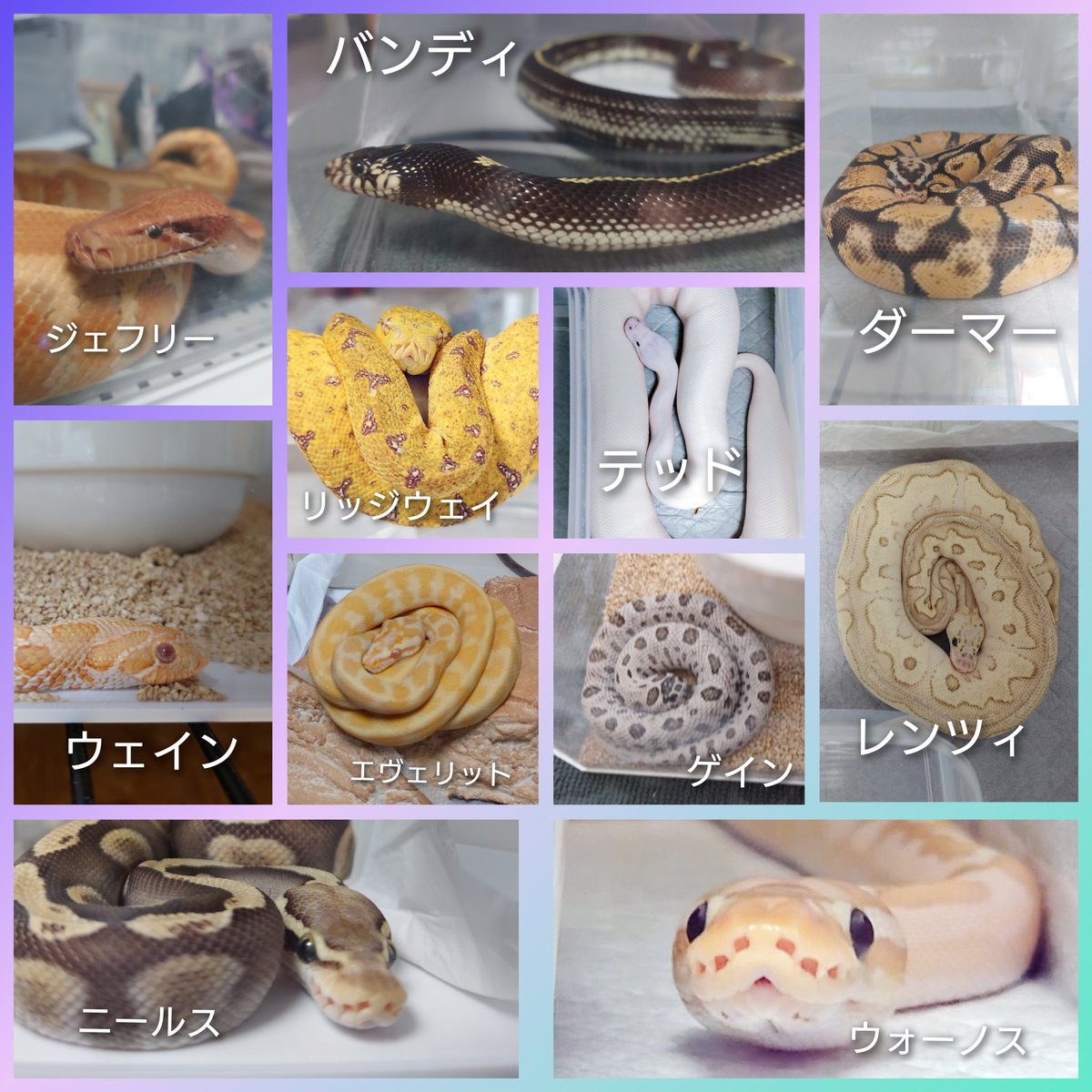 くろゆり tweet media