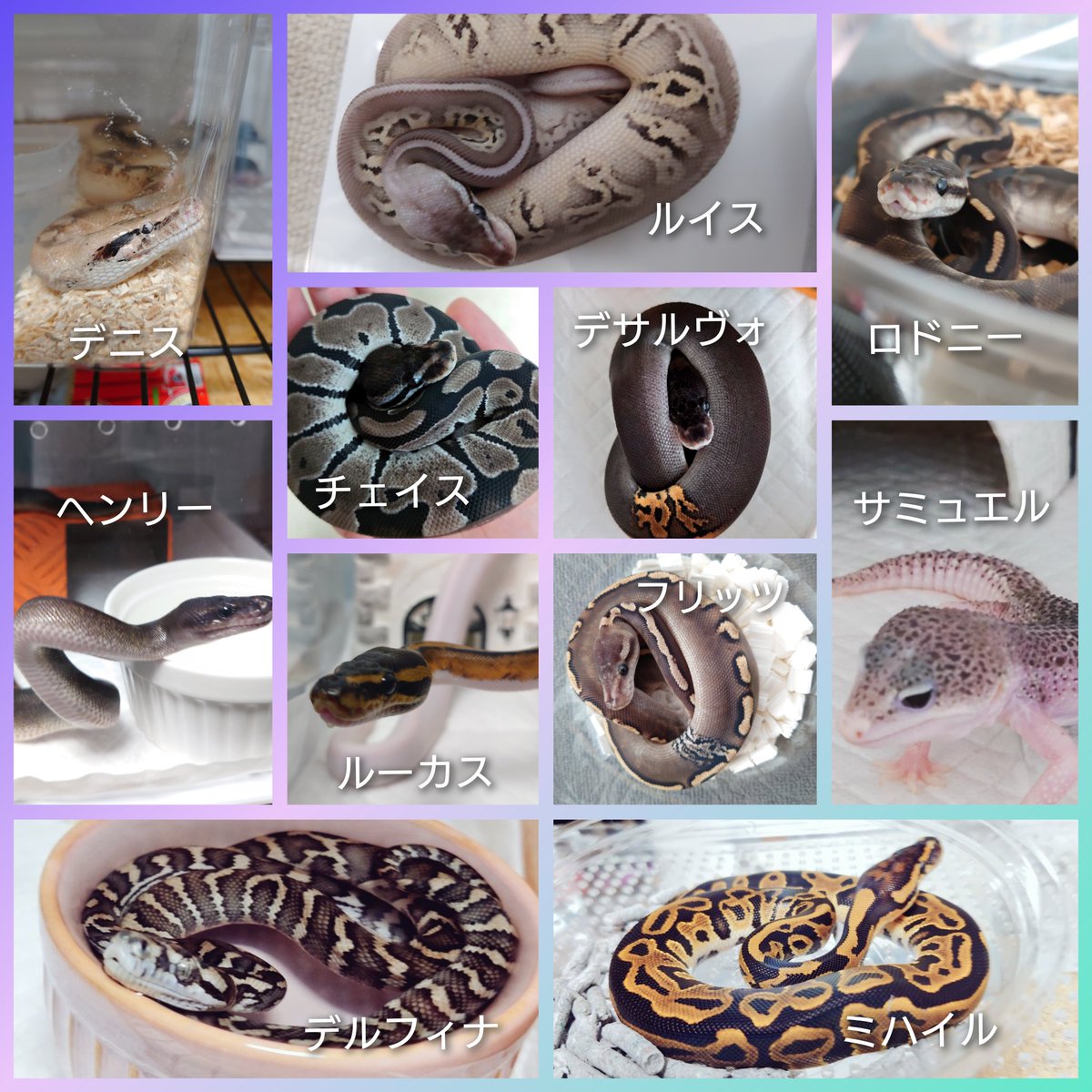 くろゆり tweet media