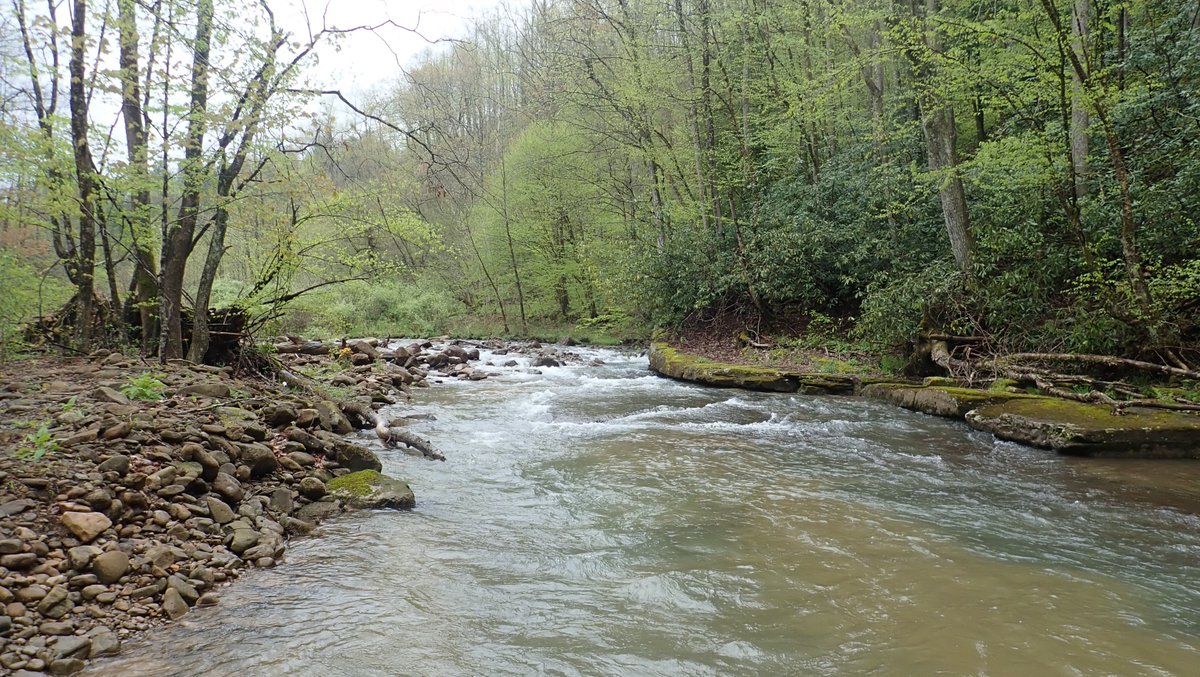 Check out this Leatherwood Creek Stormap to see how the WVDEP and the town of Bergoo worked cooperatively to reduce fecal coliform and improve conditions in Leatherwood Creek with funding from CWSRF. storymaps.arcgis.com/stories/c2a35a…