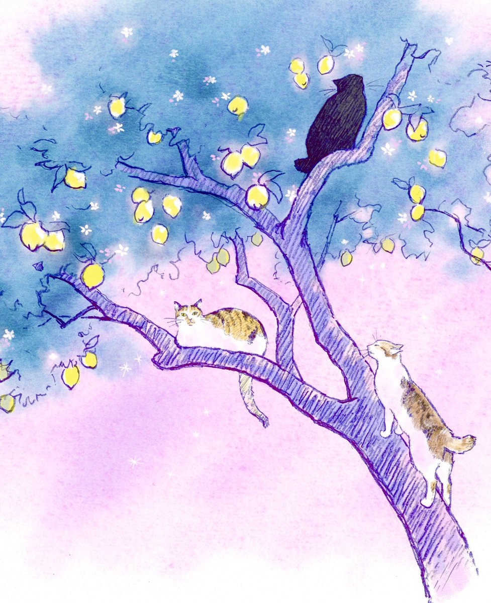 「Lemon trees and cats 」|だまち(さめしまきよし)のイラスト