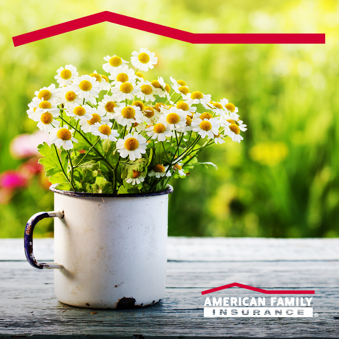 cjf020's tweet photo. Break out the garden tools! It’s the first day of spring! What do you most look forward to at this time of year? 🌷 🐝 🌼 https://t.co/hl04rgJ33r