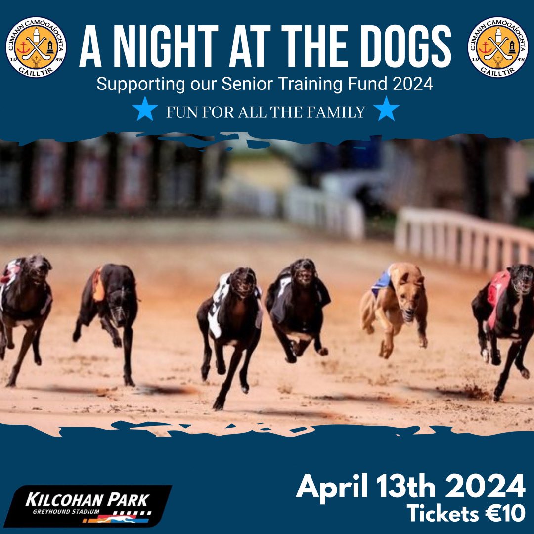 ‼️ A Night at the Dogs ‼️ Our senior team have organised a night at the dogs fundraiser to support their training fund for 2024. Please show your support by purchasing a ticket through the link below or by contacting any member of the panel. collectit.ie/gailltir-camog…