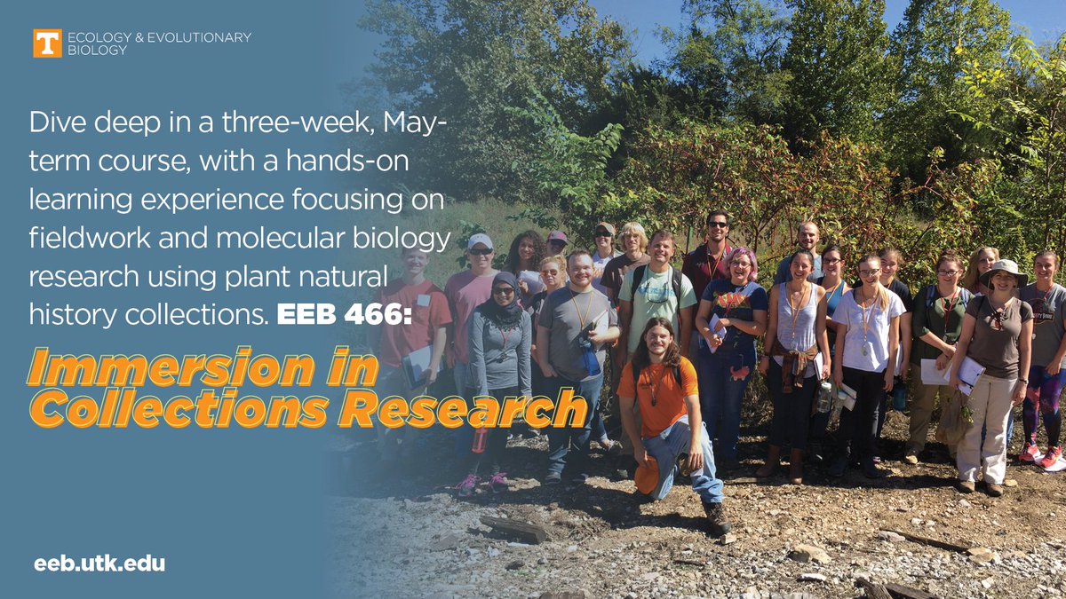Please spread the word about this summer course my postdoc &amp; I will be teaching. It is open to all undergraduate students. Join us May 20-Jun 5
EEB 466 - Immersion in Natural History Collections Research: Hands-on Skills in Fieldwork and Molecular Biology <a href="/UTKnoxville/">UT Knoxville</a> - <a href="/UTK_EEB/">UTK EEB</a>
